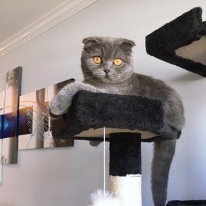 Meet your Posher,  Tatiana